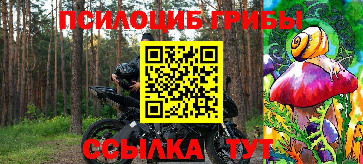 Галлюциногенные грибы мухоморы  Галлюциногенные грибы Magic Shrooms  где купить   Вход с VPN  Шарыпово 