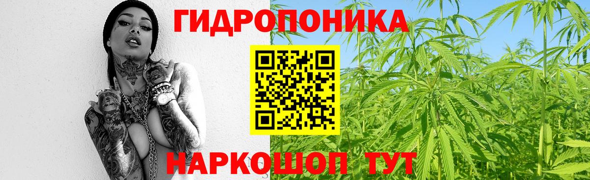 Канабис сатива  Вход с VPN  Бошки марихуана VHQ  Бошки марихуана VHQ  Марихуана тримм  Шарыпово 